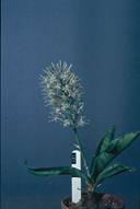 Beschreibung: C:\Users\Barbara\Desktop\omi\Tabelle101-150-Dateien\image012.jpg