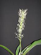 Beschreibung: C:\Users\Barbara\Desktop\omi\Tabelle101-150-Dateien\image013.jpg