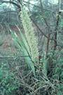 Beschreibung: Beschreibung: C:\Users\Barbara\Desktop\omi\Tabelle 1000 - 1085-Dateien\image040.jpg